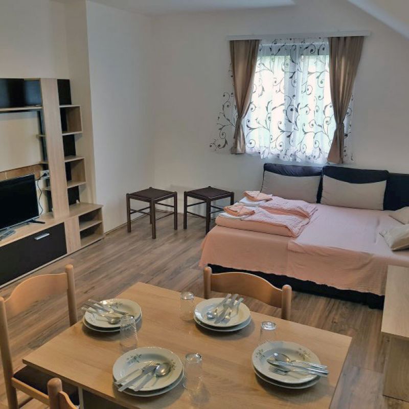 Apartman Angelina Sokobanja