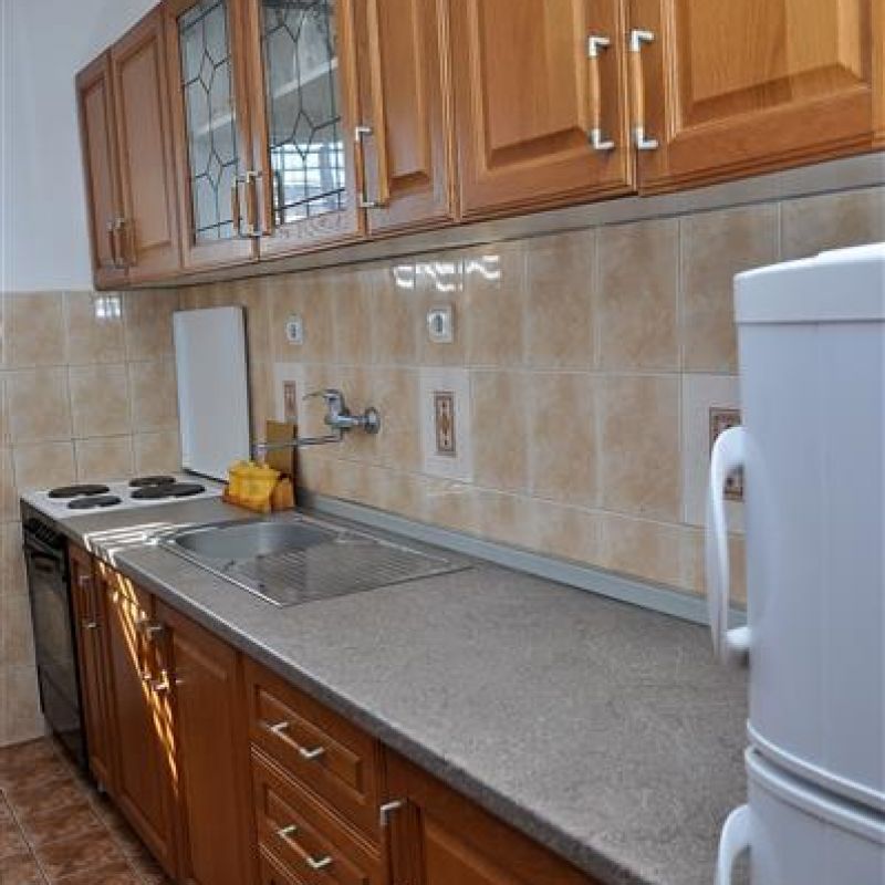 apartman rada 1 soko banja