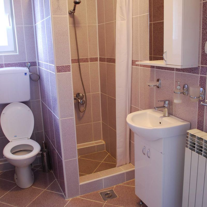 Apartman 5 vila Živković