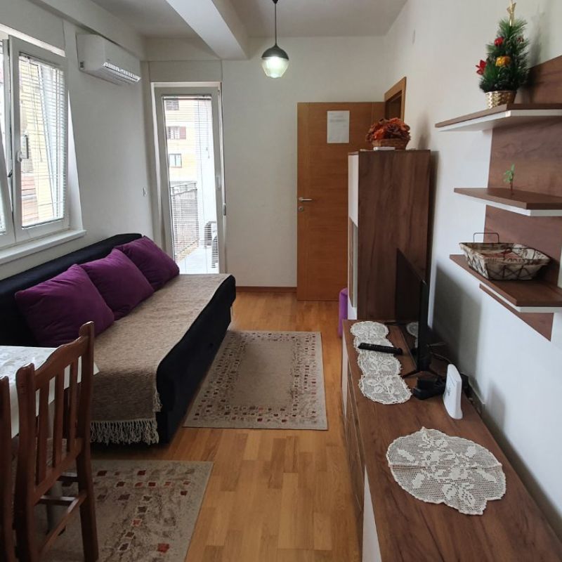 Apartman Mihajlović Sokobanja