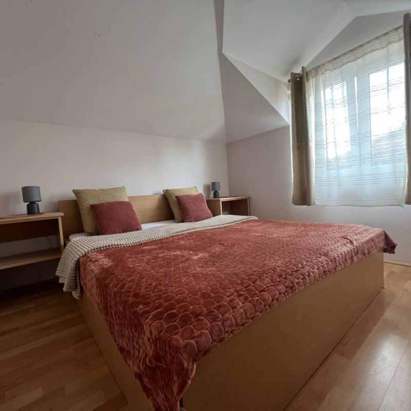 Apartman Nikola 3 Sokobanja