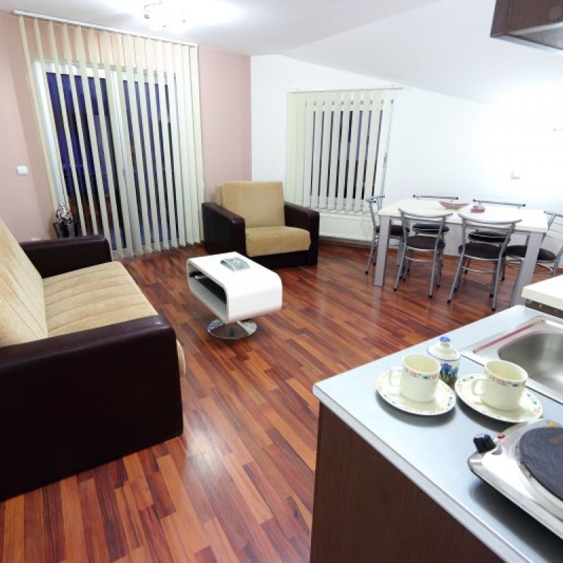 Apartman Tanja centar Sokobanje