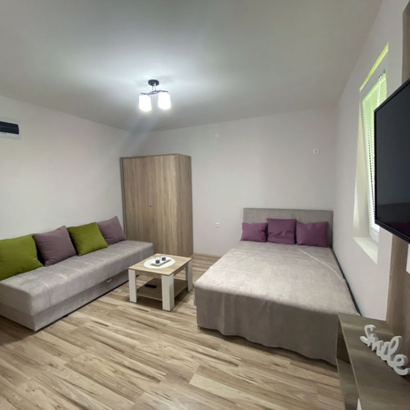 Apartman 1 Radivojević Sokobanja