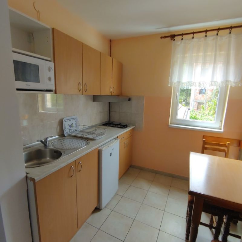 Apartman 2 vila Ramona Sokobanja