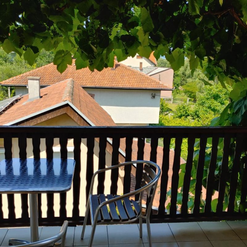 Apartman 2 vila Ramona Sokobanja