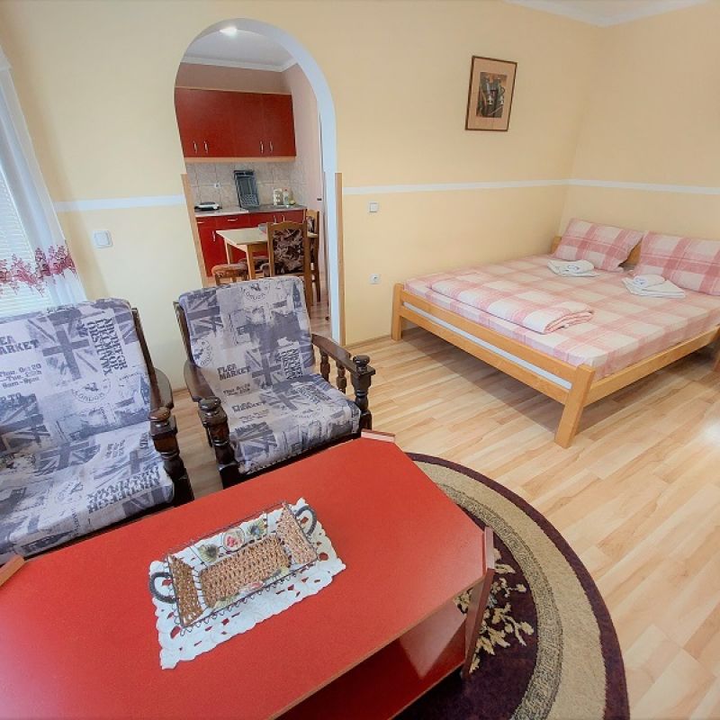 Apartman AFRODITA klimatizovan Sokobanja