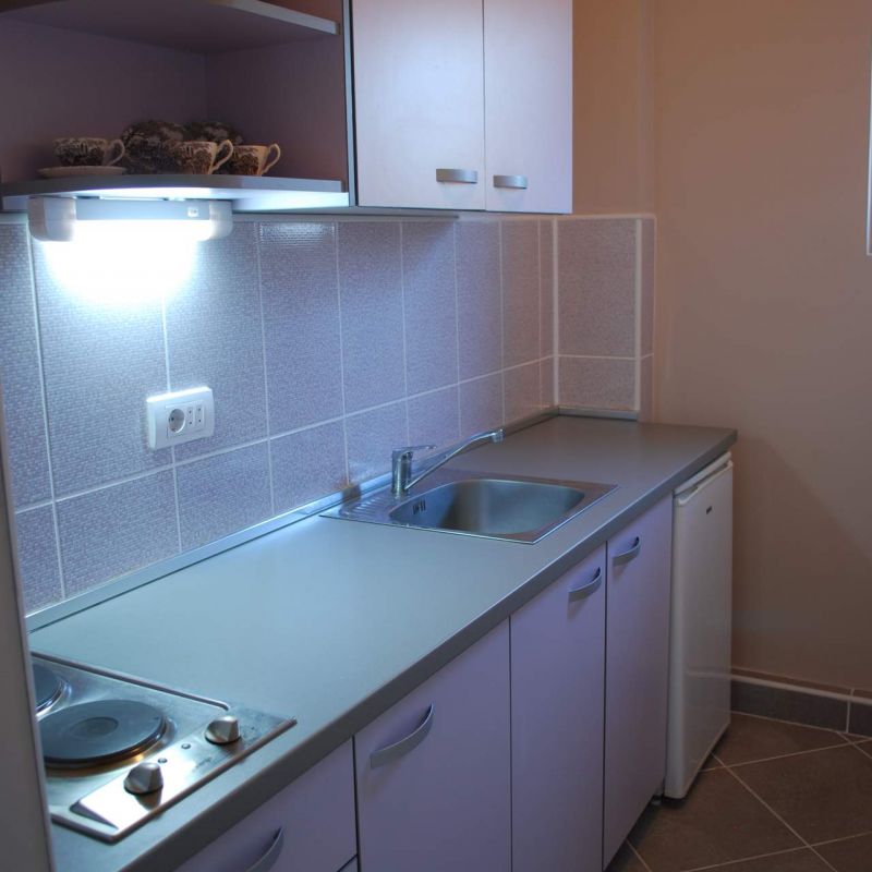 Apartman 5 vila Živković