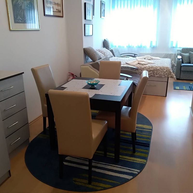 Apartman Vesna Sokobanja