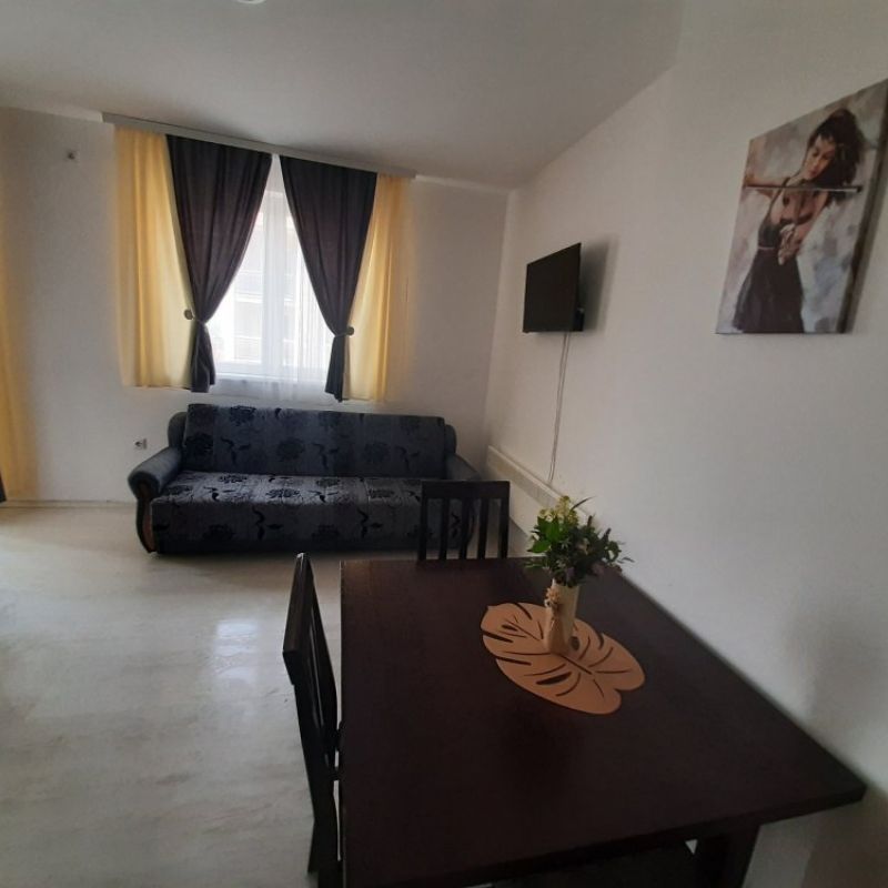 Apartman studio Sanja Sokobanja