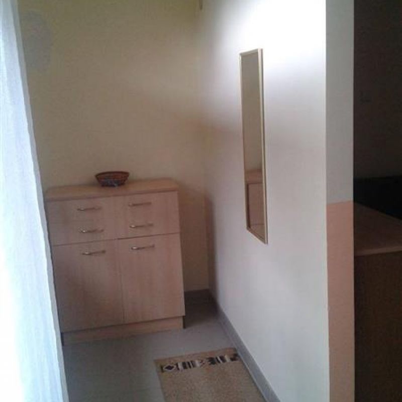 apartman 1 jevtić sokobanja