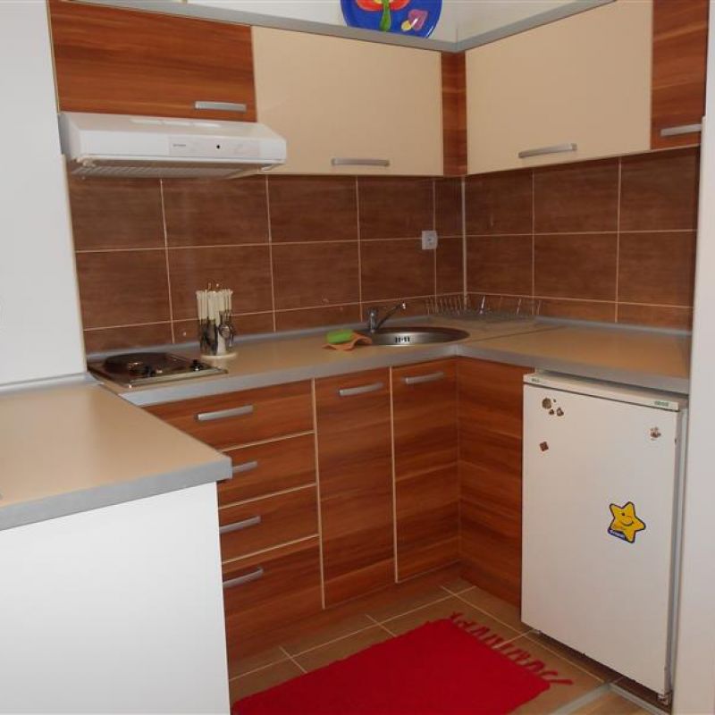 apartman Ilić Sokobanja