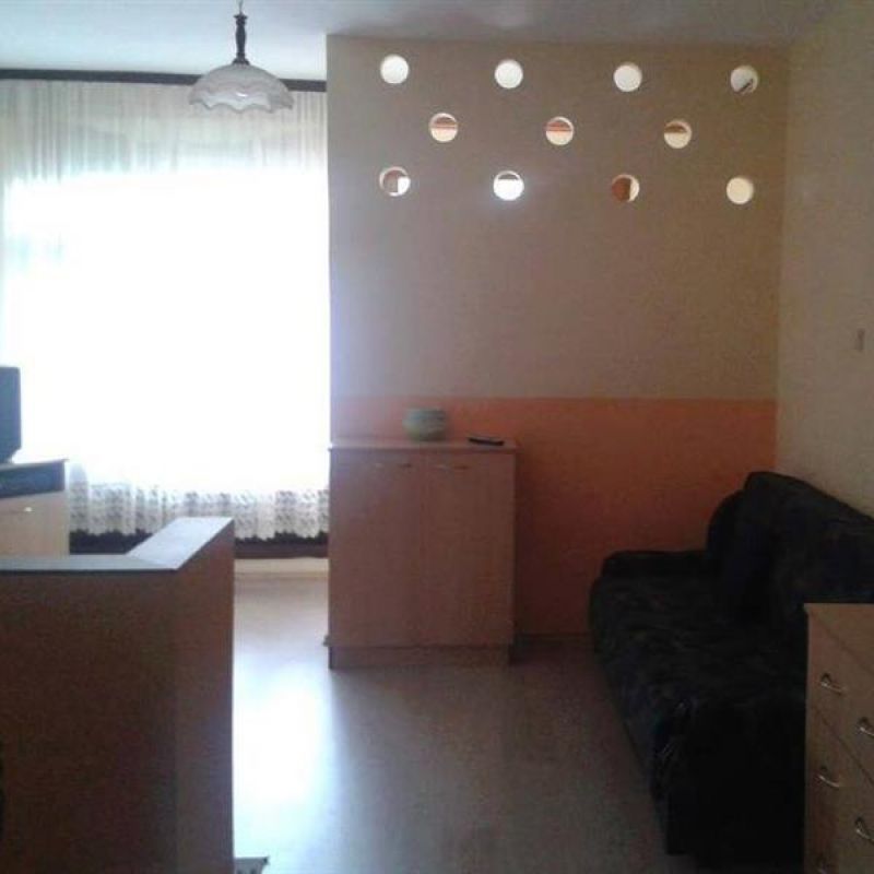 apartman 1 jevtić sokobanja