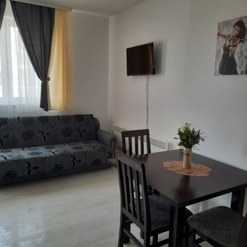 Apartman studio Sanja Sokobanja