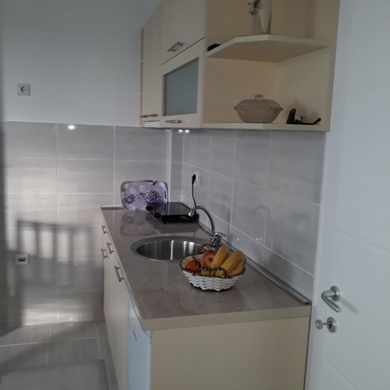 Apartman studio Sanja Sokobanja