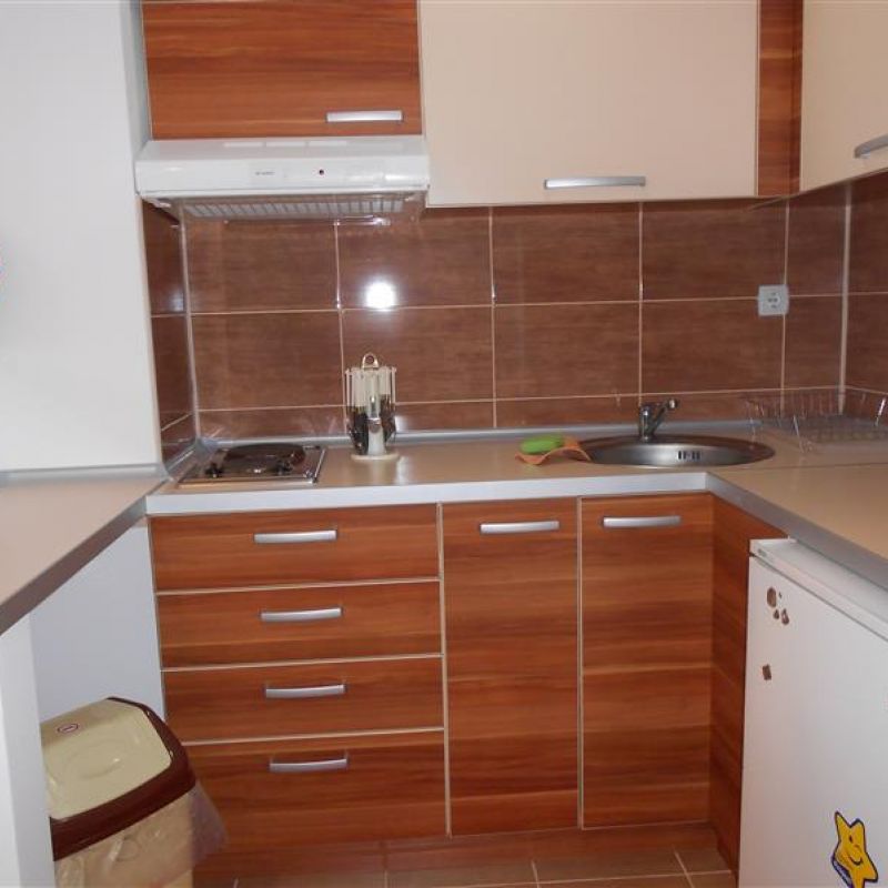 apartman Ilić Sokobanja