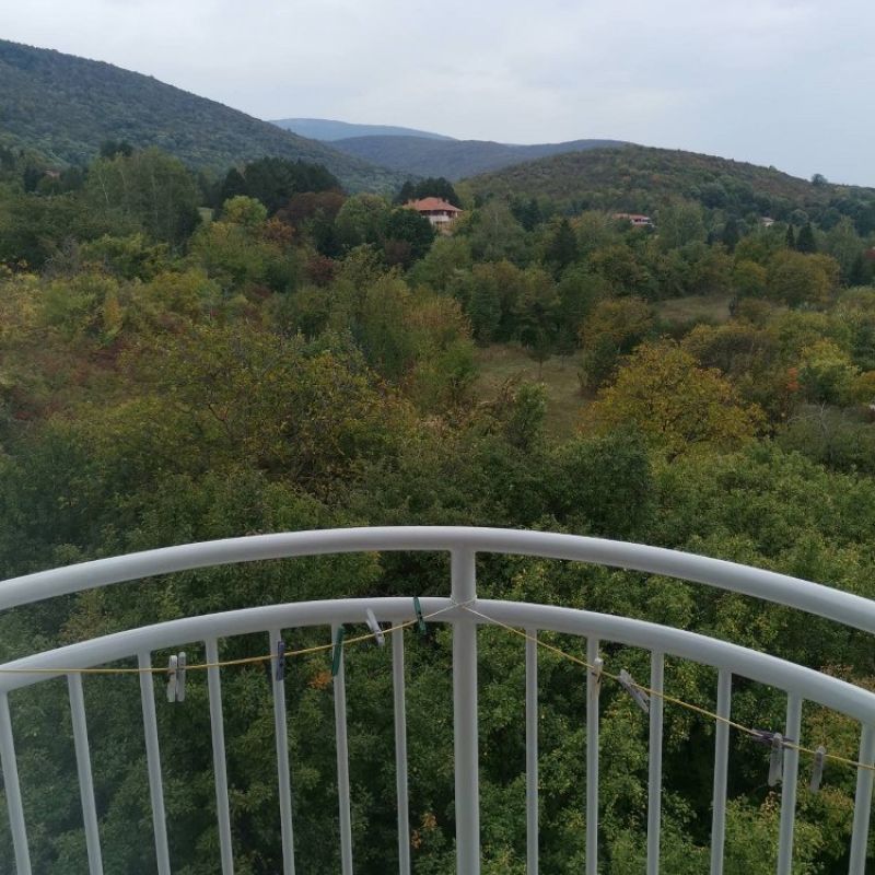 Apartman Stevan Sokobanja