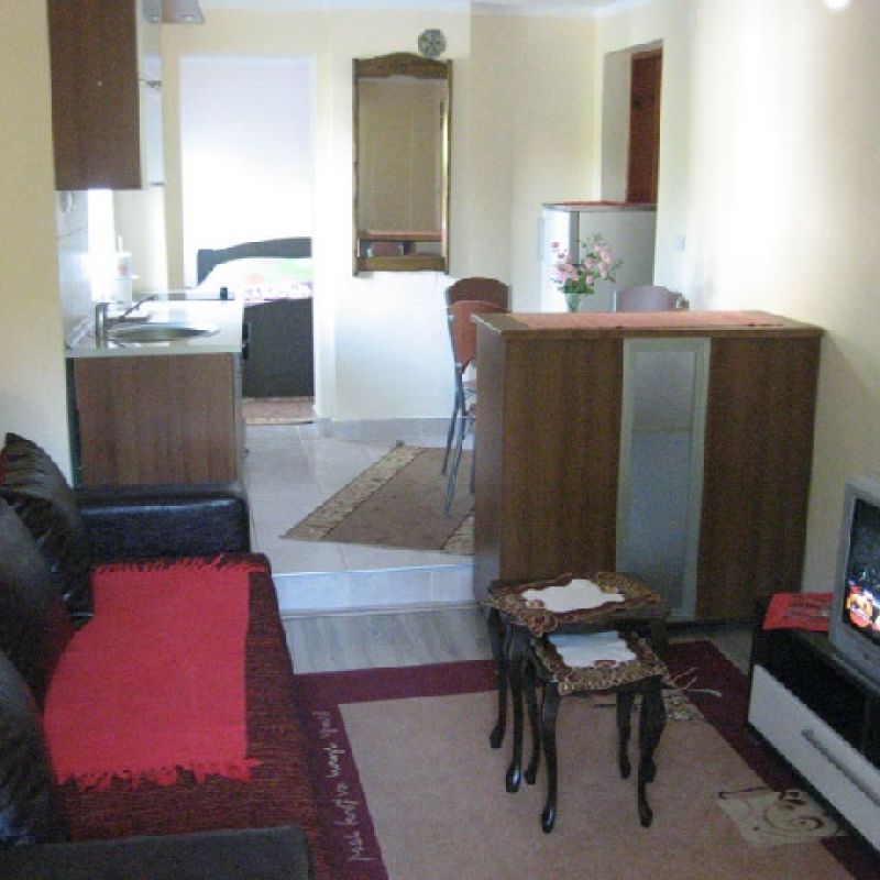 Apartman ANITA u Sokobanji