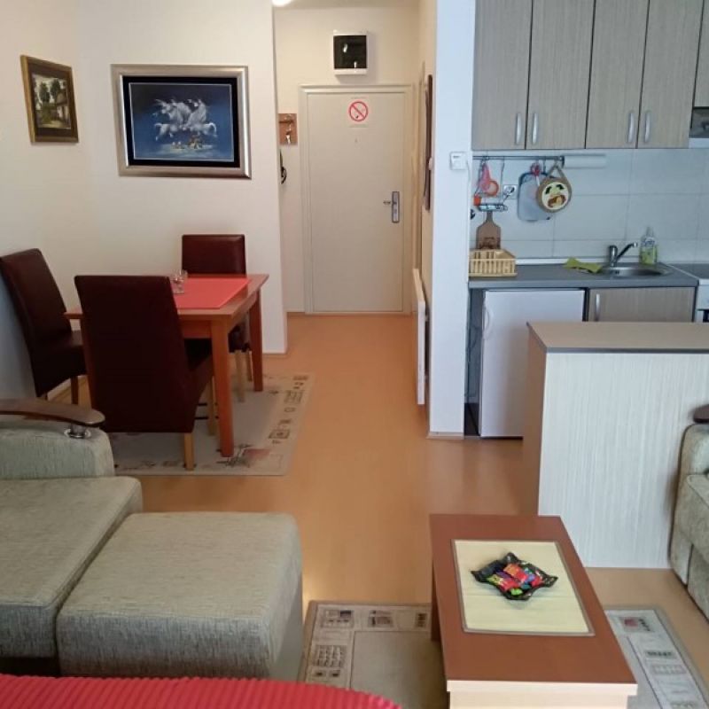 Apartman Galerija Sokobanja