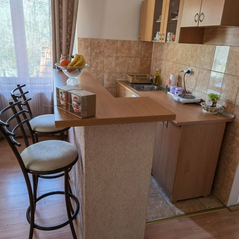 Apartman Nikola 1 Sokobanja