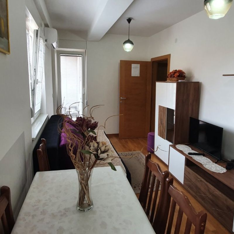 Apartman Mihajlović Sokobanja