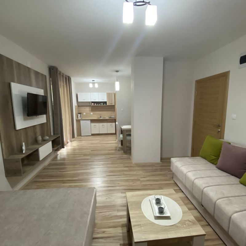 Apartman 1 Radivojević Sokobanja