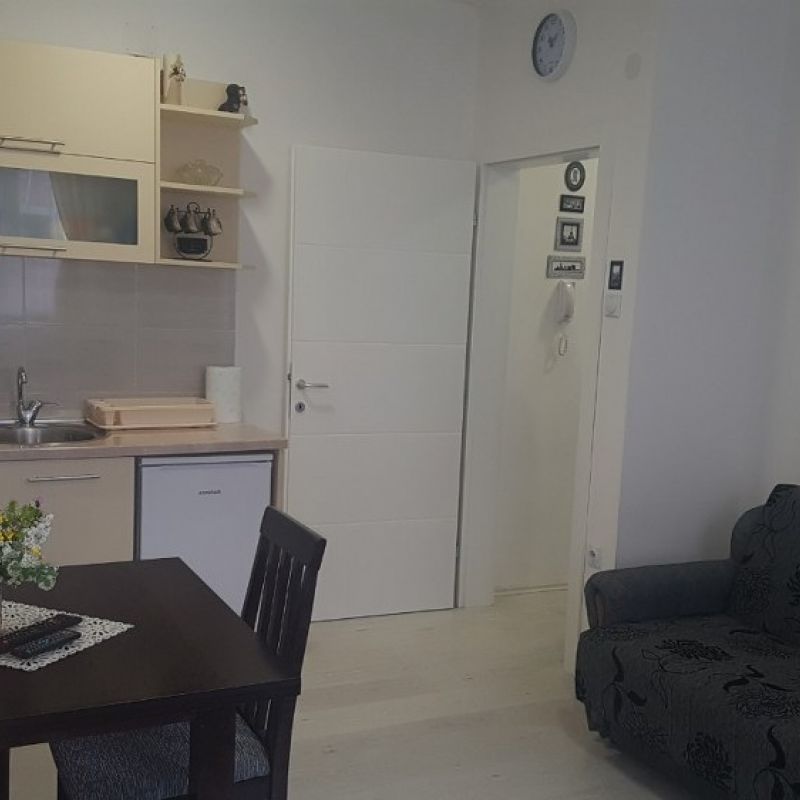 Apartman studio Sanja Sokobanja