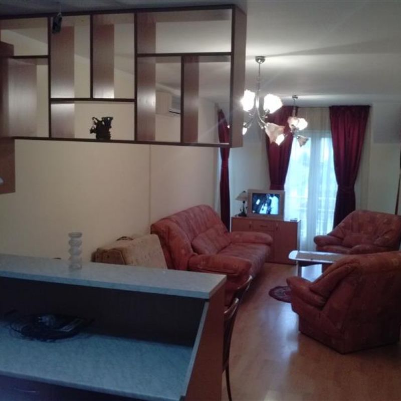 apartman ogi sokobanja