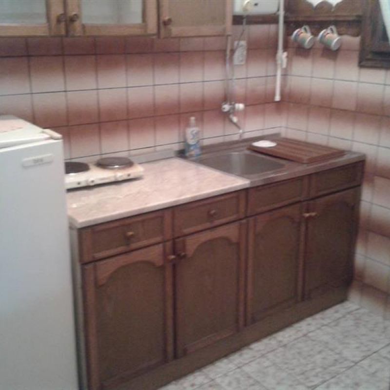 apartman 1 jevtić sokobanja