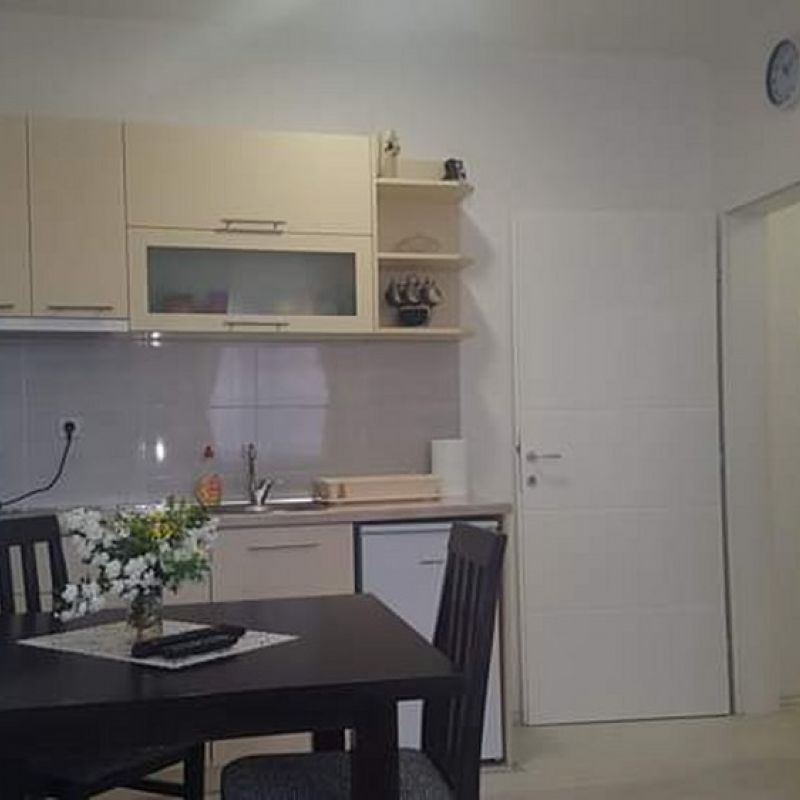 Apartman studio Sanja Sokobanja