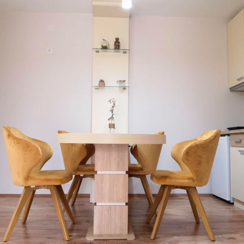 Apartman 3 Radivojević Sokobanja