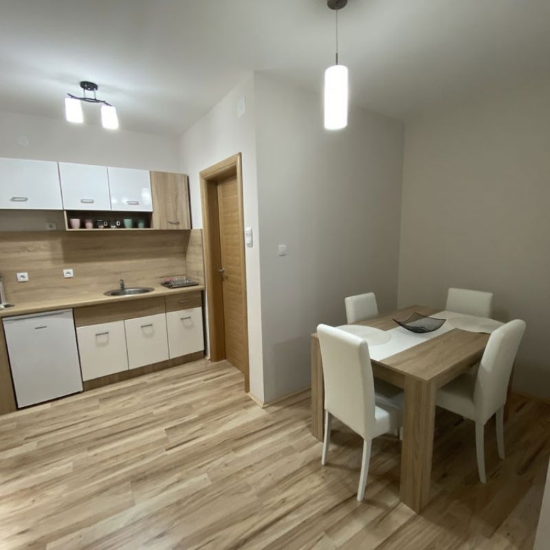 Apartman 1 Radivojević Sokobanja