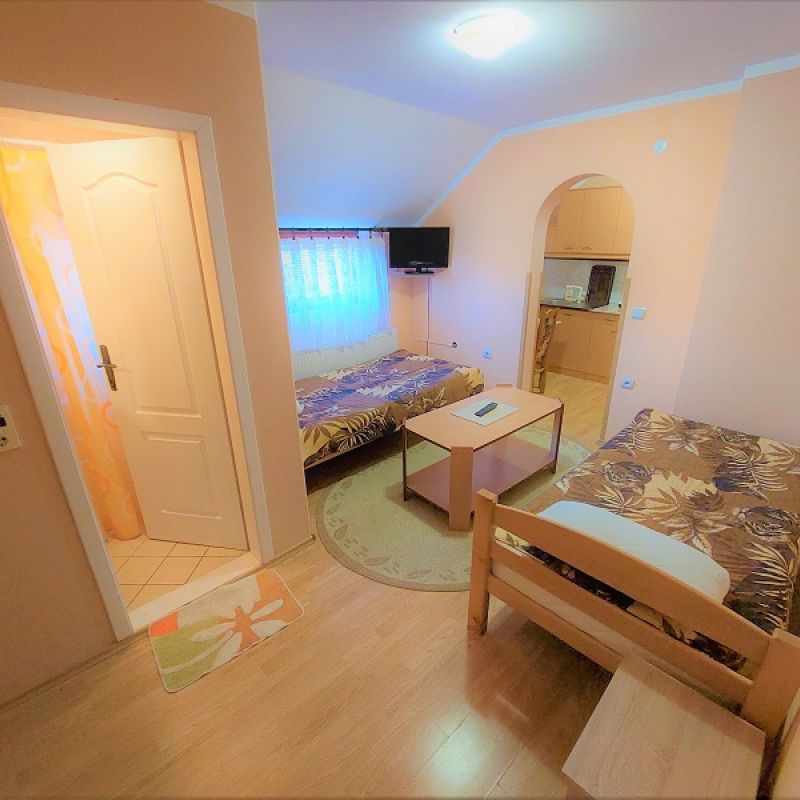 Apartman DVOSOBAN ORANGE TROPIC klimatizovan Sokobanja