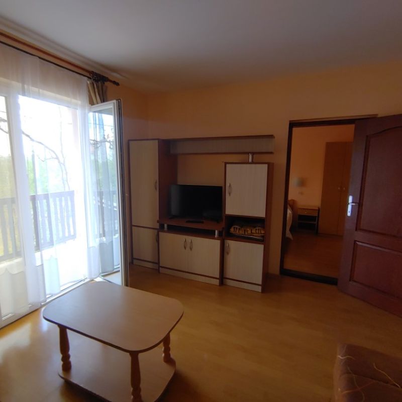 Apartman 2 vila Ramona Sokobanja