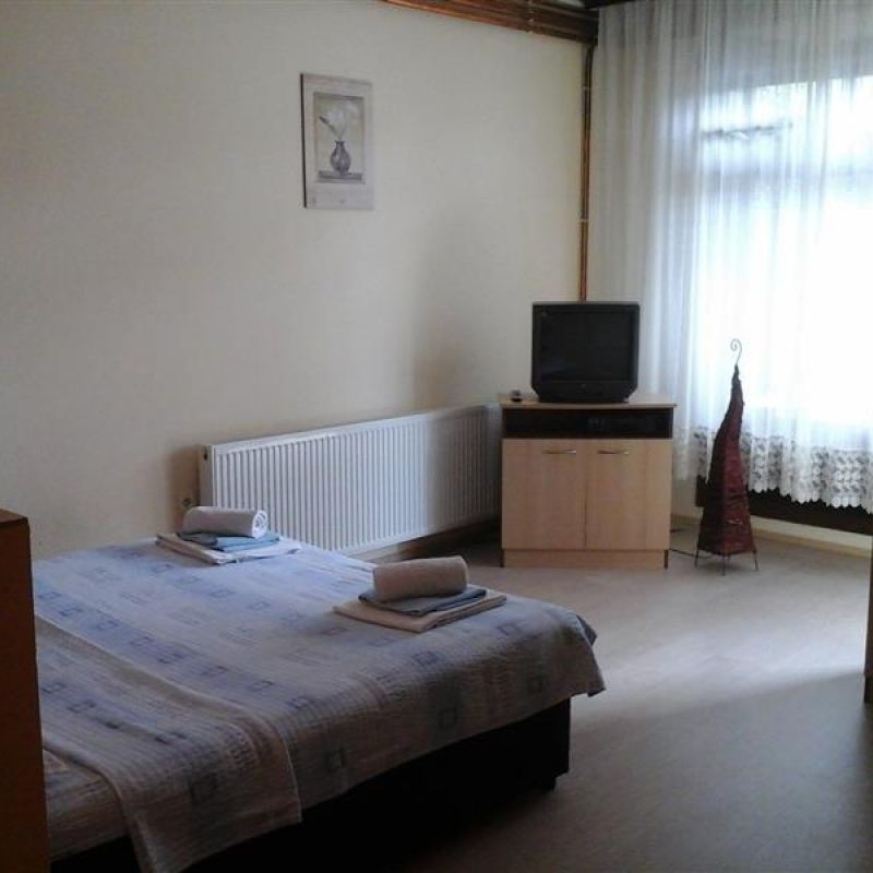 apartman 1 jevtić sokobanja