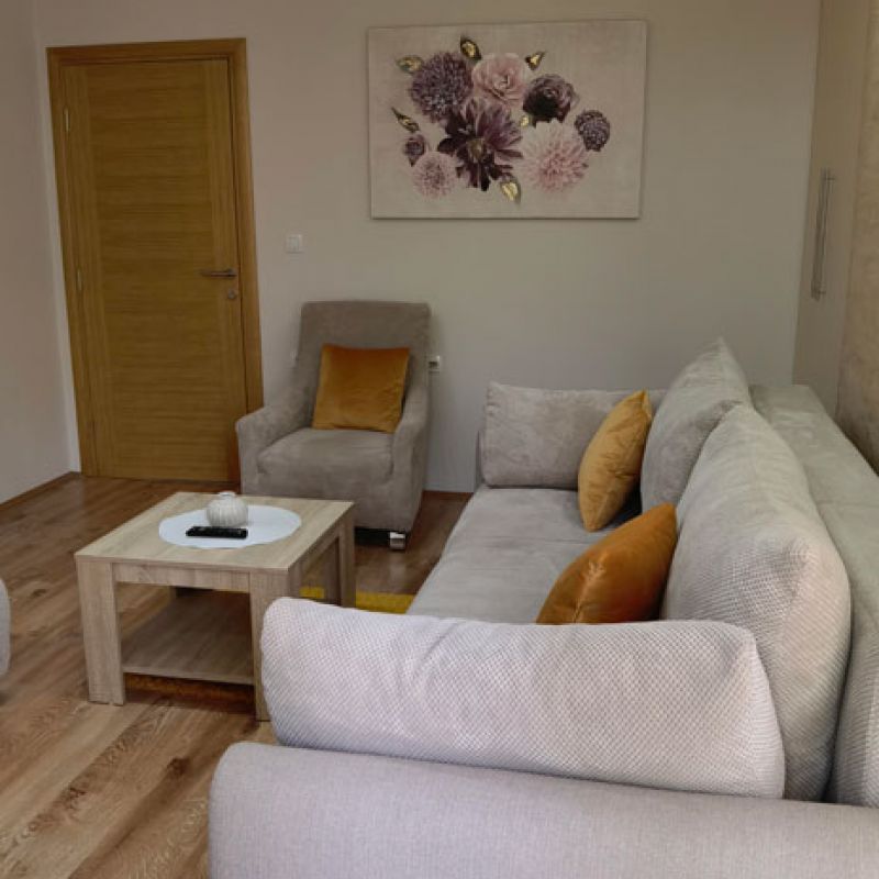 Apartman 3 Radivojević Sokobanja